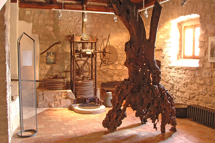 Pastena: Museo della civiltà contadina e dell'ulivo