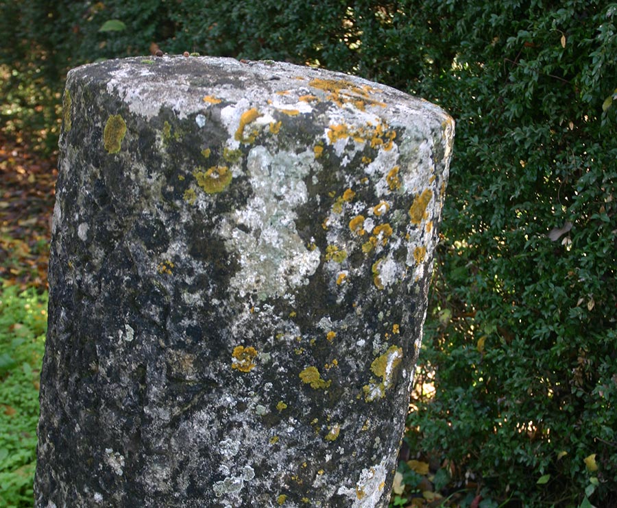 I Cippi confinari di Arce