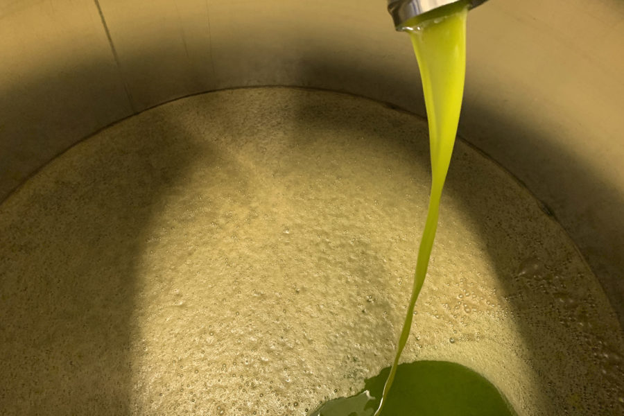 L'Olio extra vergine di oliva