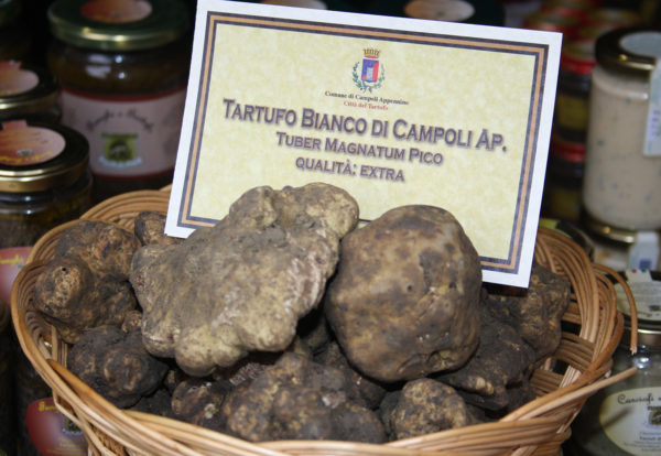 Tartufo di Campoli Appennino