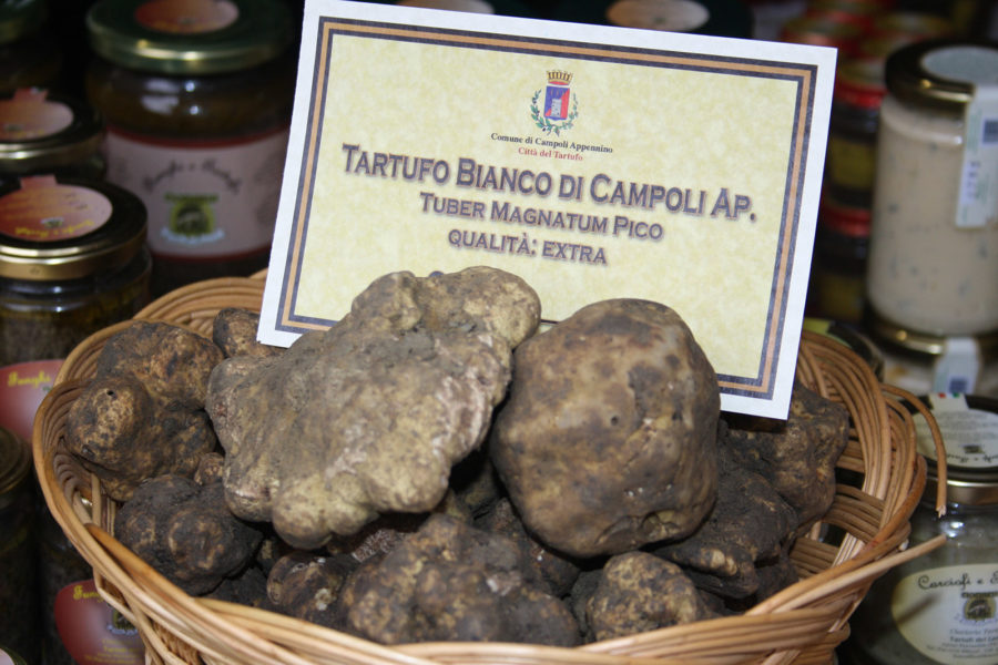 Tartufo di Campoli Appennino