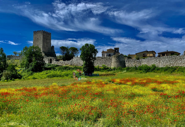 acropoli_Arpino2021_coeprtina2