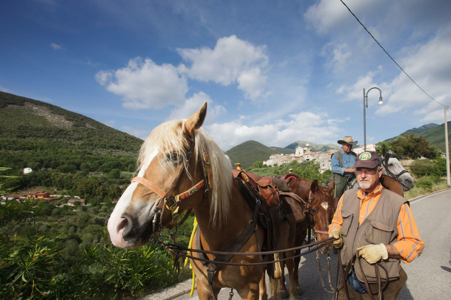 Vacanze a cavallo , sport e natura in Ciociaria