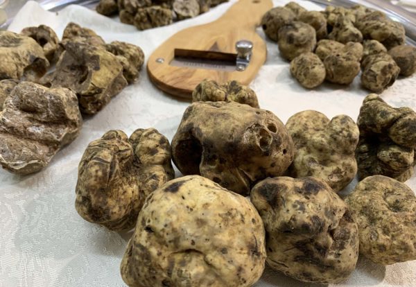 Fiera del Tartufo di Campoli Appennino