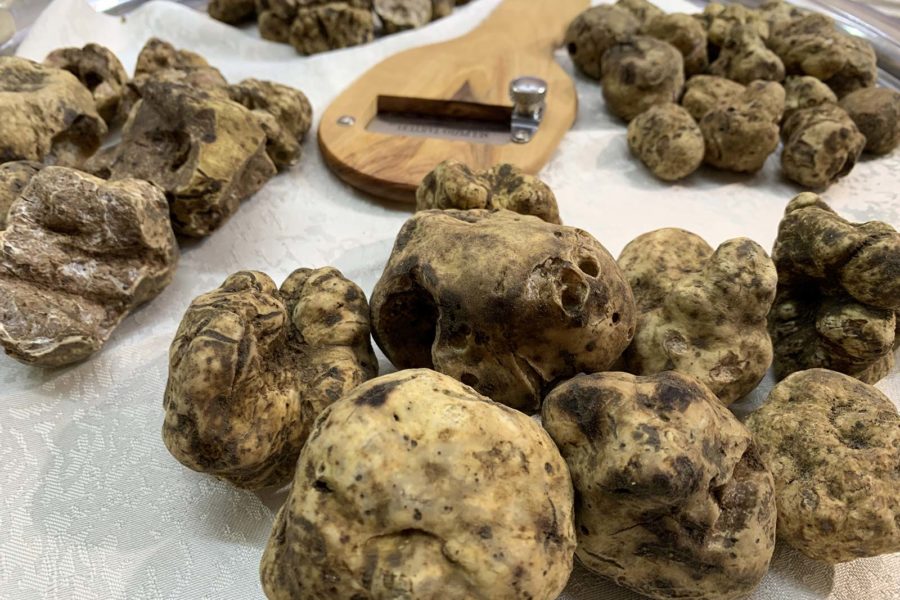 Fiera del Tartufo di Campoli Appennino