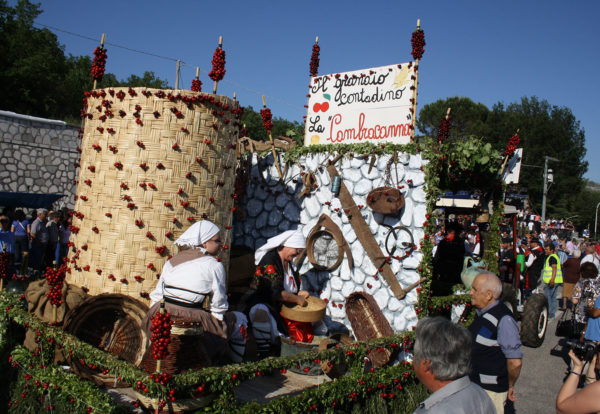 Sagra delle Ciliegie a Pastena