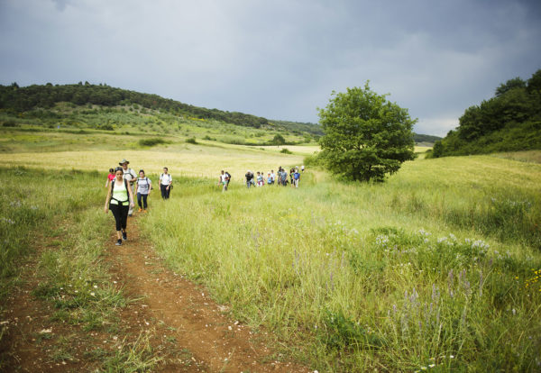 Trekking sul Cammino di San Benedetto e altri percorsi