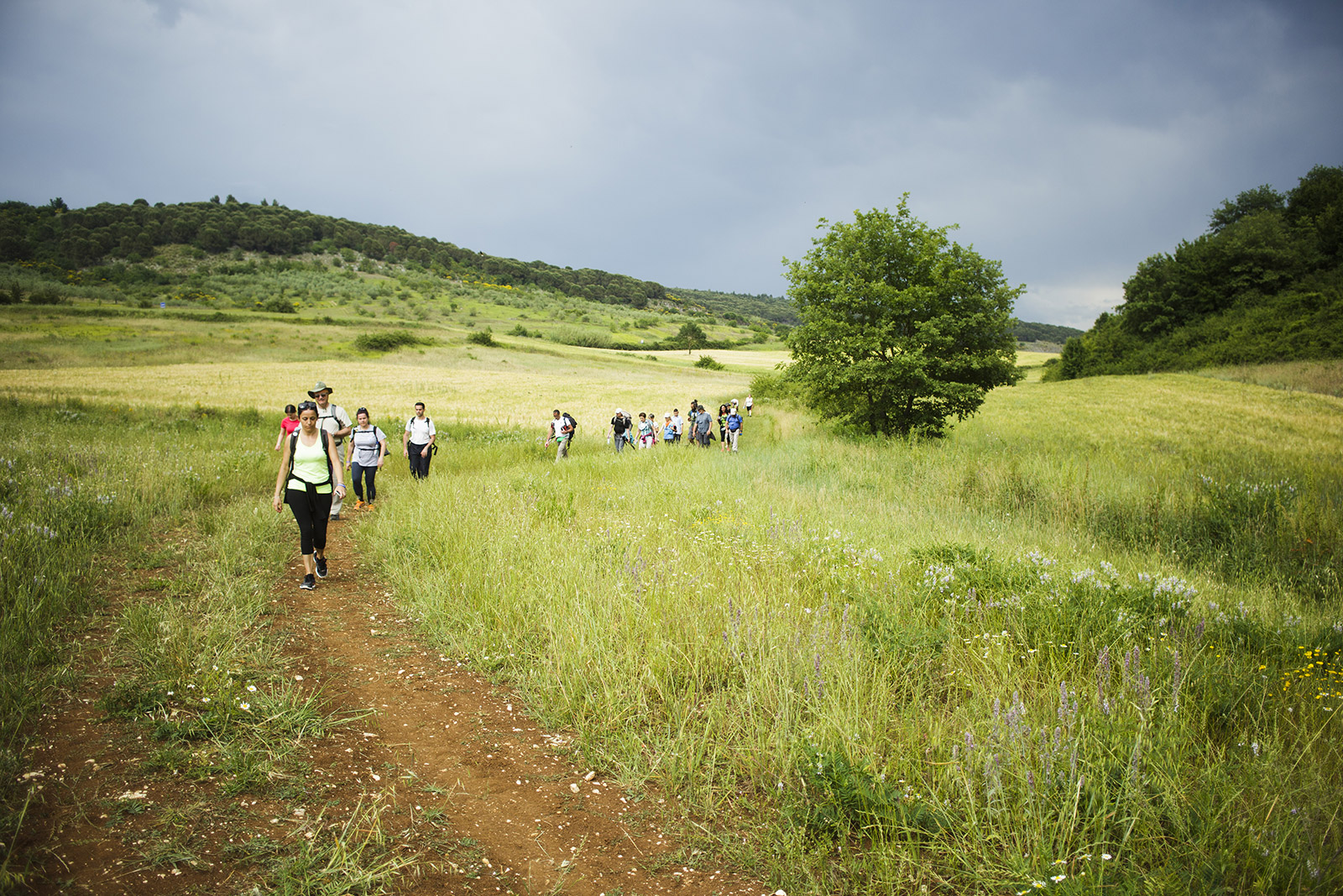 Trekking sul Cammino di San Benedetto e altri percorsi