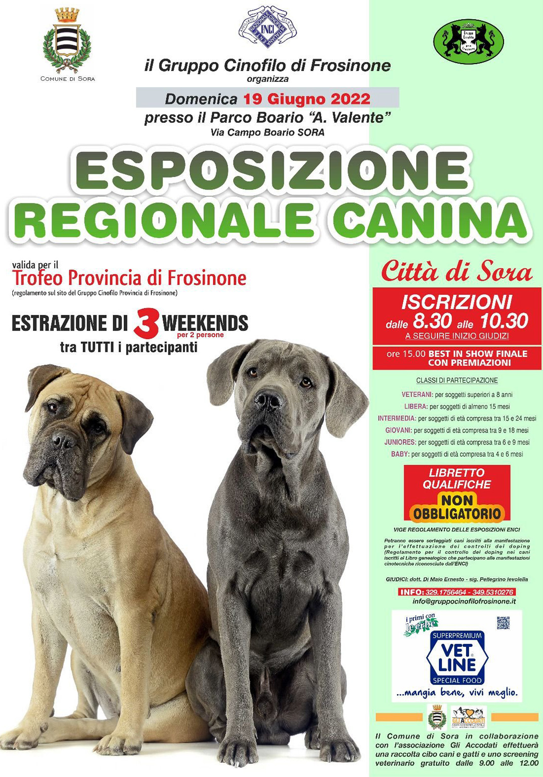 Esposizione Regionale Canina - Sora 2022