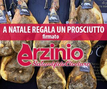 Banner Erzinio Natale 2022