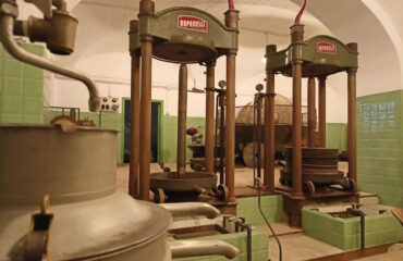 zienda Agricola Antonio Genovesi