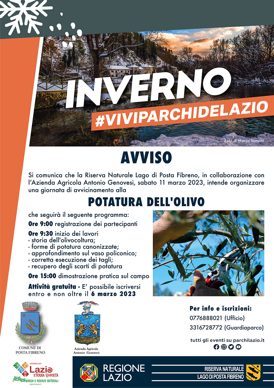 Corso di avvicinamento alla potatura dell'olivo