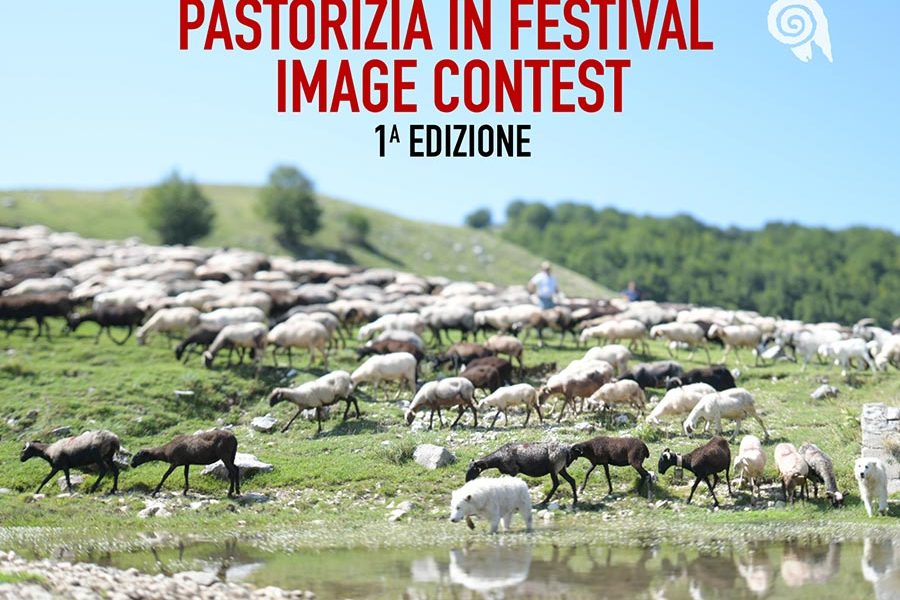 Pastorizia in Festival Image Contest