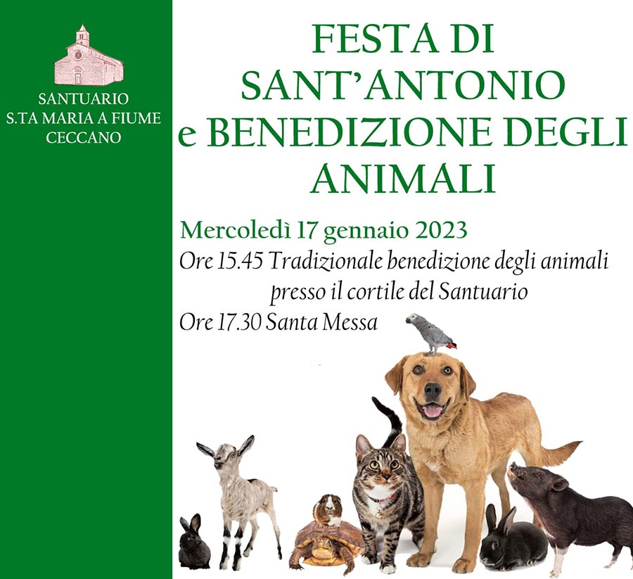 SUPER VENDITA! *EUROPEO* CARTA AMIIBO 18 JAKEY JACOB BENVENUTO - Foto 11