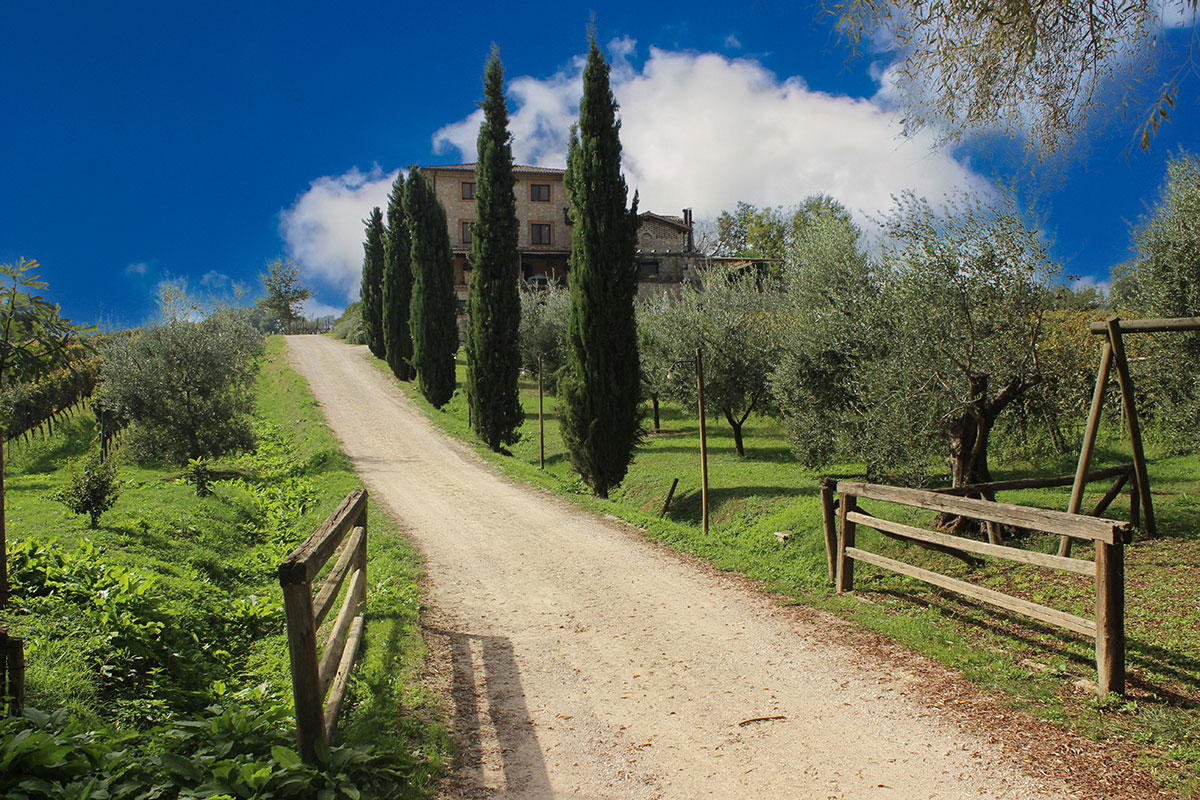 Casale VerdeLuna Piglio (Frosinone)