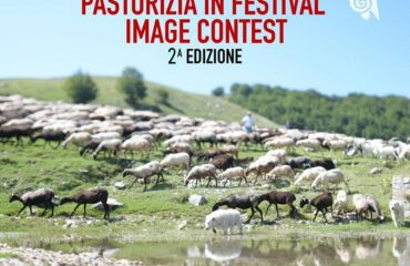 Pastorizia in Festival Image Contest 2024