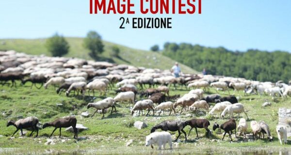 Pastorizia in Festival Image Contest 2024