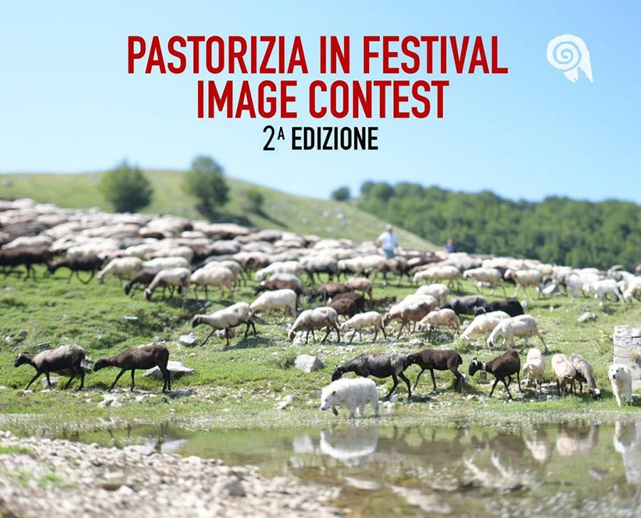 Pastorizia in Festival Image Contest 2024