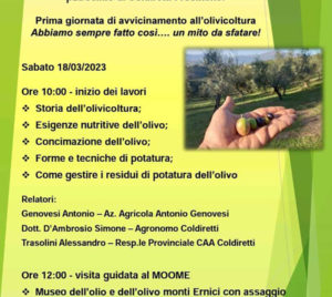 Museo dell'Olio e dell'Olivo monti Ernici Boville Ernica 2023