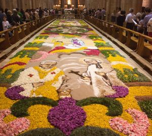 Infiorata del Corpus Domini Casamari