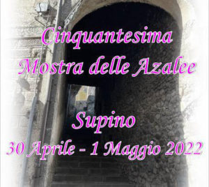 Mostra Alzalee Supino 2022