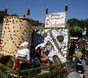 Sagra delle Ciliegie a Pastena