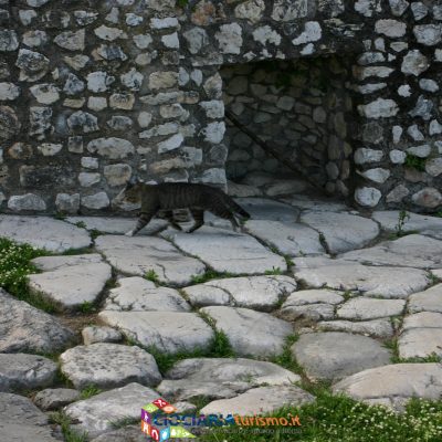 area_archeo_cassino2021_05