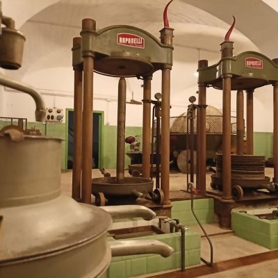 Museo dell'Olio e dell'Olivo a Boville Ernica