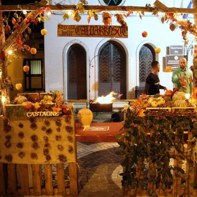 Dolce Vin Novo - Sant'Andrea sul Garigliano 2022