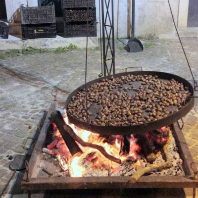 Dolce Vin Novo - Sant'Andrea sul Garigliano 2022