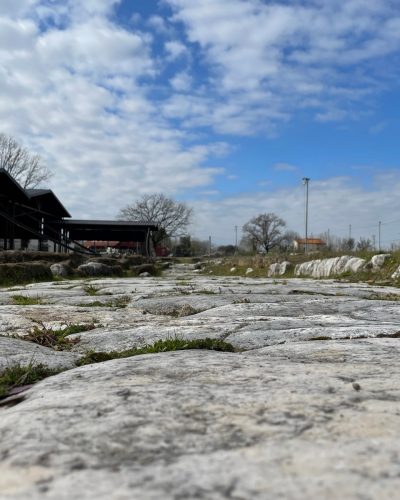 Area Archeologica Aquinum