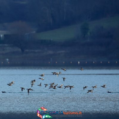 lago_canterno2021_06