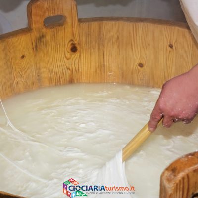 La Mozzarella di Bufala di Amaseno