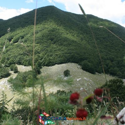Parco Nazionale d’Abruzzo, Lazio e Molise