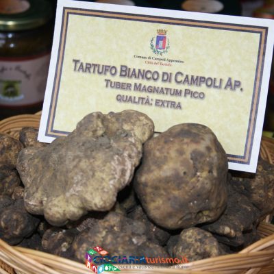 Tartufo di Campoli Appennino