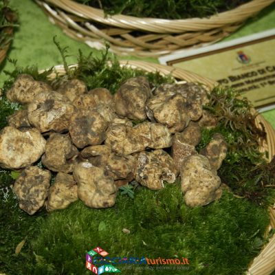 Tartufo di Campoli Appennino