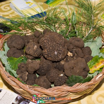 Tartufo di Campoli Appennino