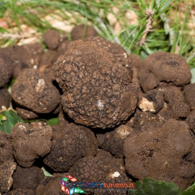 Tartufo di Campoli Appennino